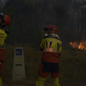 Au total, 301 560 hectares ont brûlé en Espagne jusqu'au 28 octobre, soit 42,9 % de l'UE, selon Copernic