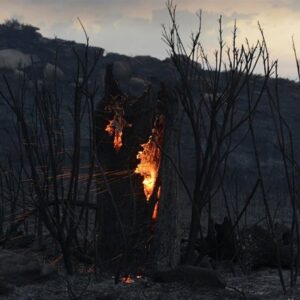 Bruxelles accorde à l'Espagne 120 millions d'euros pour atténuer les dégâts des incendies de forêt de 2025