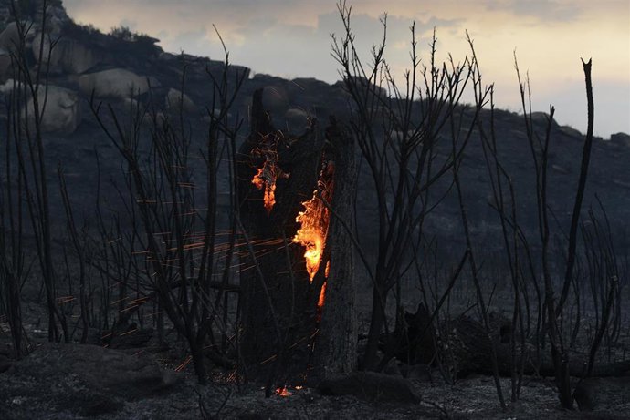 Bruxelles accorde à l'Espagne 120 millions d'euros pour atténuer les dégâts des incendies de forêt de 2025