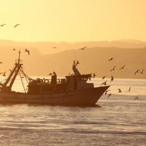 Europêche demande à la Commission européenne d'inscrire une révision de la politique commune de la pêche dans son agenda 2027