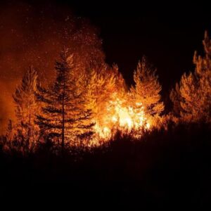 L'Espagne enregistre 301 101 hectares brûlés en 2026 jusqu'en octobre, soit 43,6 % du total de l'UE, selon Copernicus