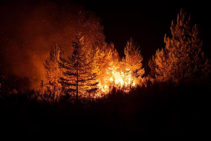 L'Espagne enregistre 301 101 hectares brûlés en 2026 jusqu'en octobre, soit 43,6 % du total de l'UE, selon Copernicus