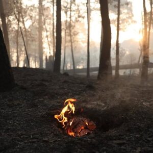L'Espagne enregistre 301 299 hectares brûlés jusqu'au 14 octobre, soit 43,1 % du total de l'UE, selon Copernicus