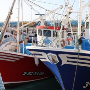 L'Espagne, le Portugal, les Pays-Bas et la Lettonie demandent à la Commission européenne de prolonger le protocole de pêche avec la Mauritanie